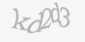 Güvenlik kodu