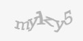 Güvenlik kodu