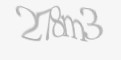 Güvenlik kodu